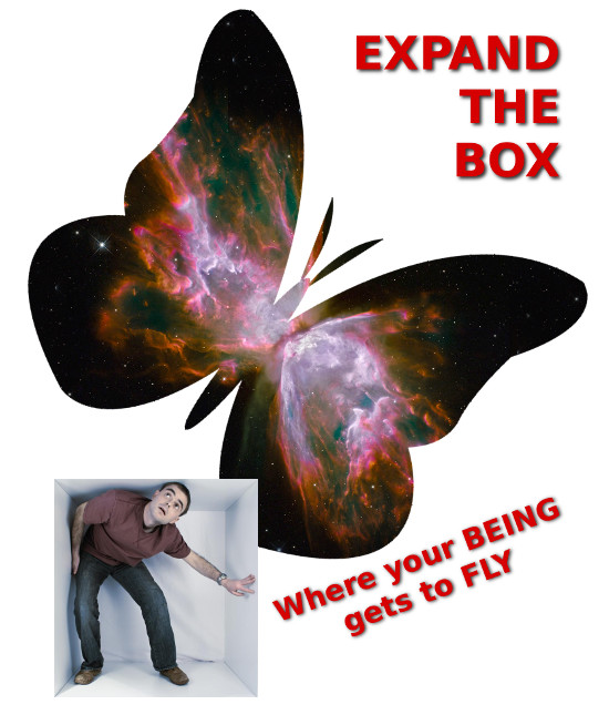 Expand The Box: Vom Kokon zum Schmetterling